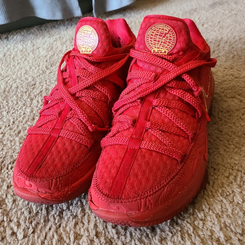 Lebron XVII Low PH size 7.5